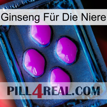 Ginseng Für Die Niere 04